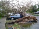 CHRIS V - wilma .weston fl. 